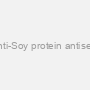 Rabbit Anti-Soy protein antiserum, IgG